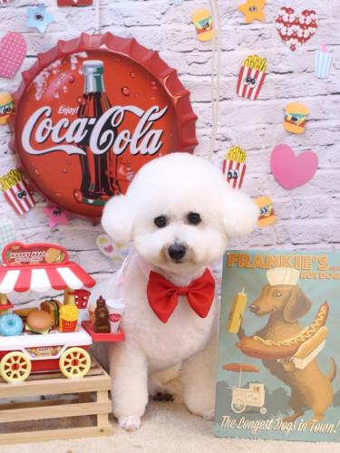 20230910ププくん